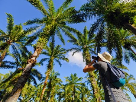 Madagaskar Oost