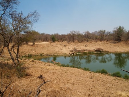 Madikwe Jaci%27s Bush Lodge