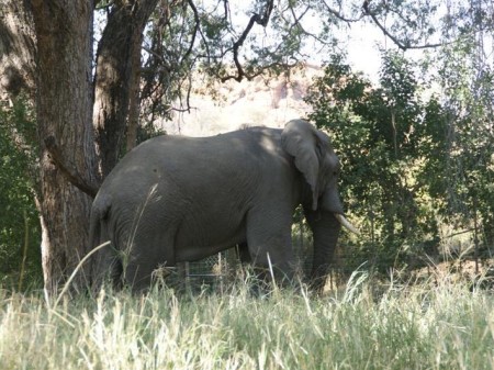 Mapungubwe National Park 02