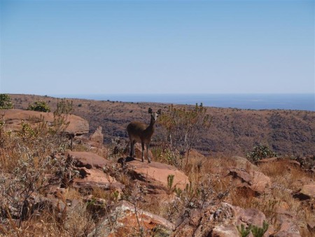 Marakele National Park 04