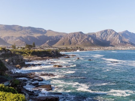 Marine Hermanus 09