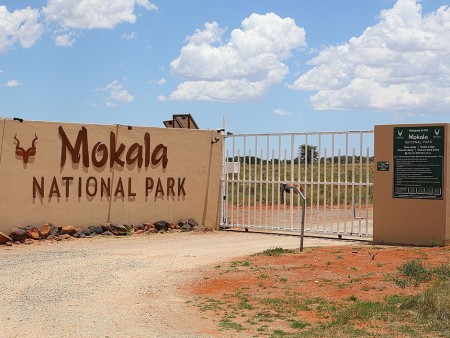 Mokala National Park 05