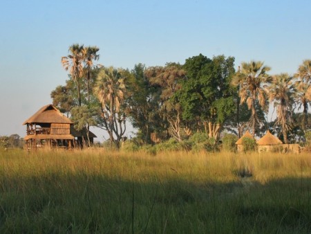 Moremi Gunns Camp 07