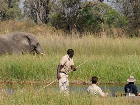 Moremi Gunns Camp 08