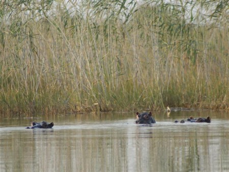 Mudumu National Park 04