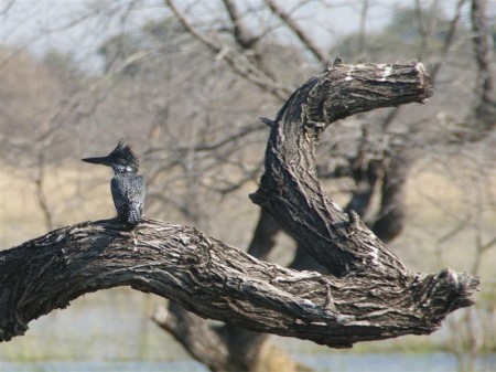 Mudumu National Park 05