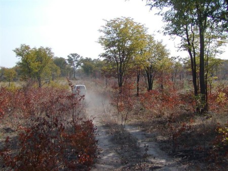 Mudumu National Park 06