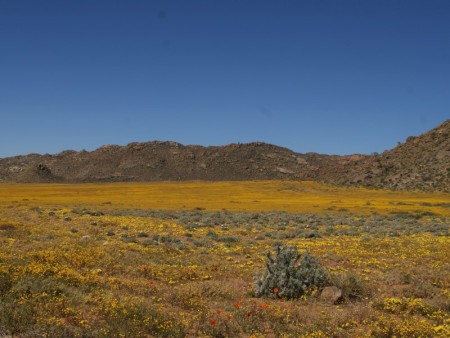 Namaqua NP