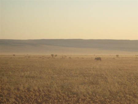 Namib Naukluft 01