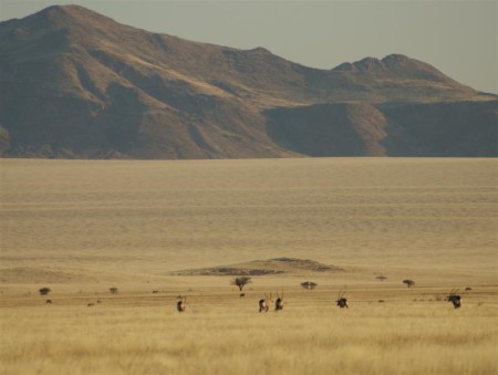 Namib Naukluft 02