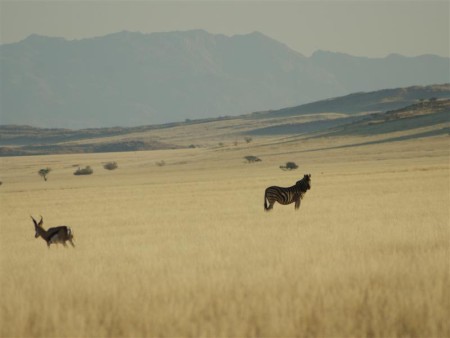 Namib Naukluft 03