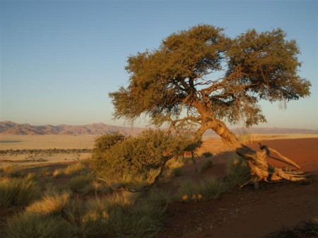 Namib Naukluft 06