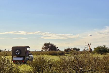 Nature Drive Cape