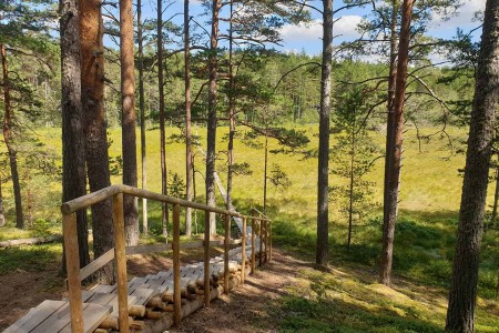 Natuurreis Baltische Staten Giedre 1