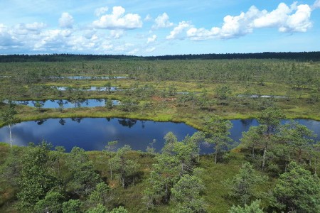 Natuurreis Baltische Staten Giedre Kemeri NP 1