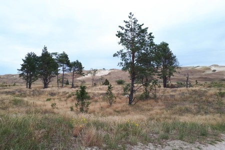 Natuurreis Baltische Staten Giedre Koerse Schoorwal 1