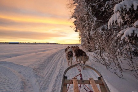 Noorderlichtreis Mizar Zweeds Lapland Brandon Lodge 1