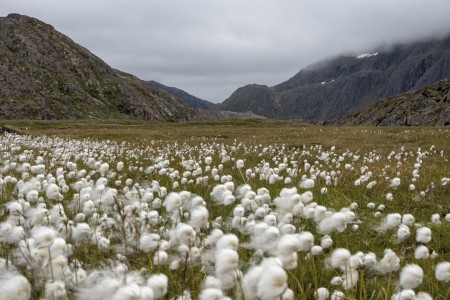 Noordwest Passage Alaska Tot Nova Scotia Sisimiut Andrea Klaussner Hurtiguten