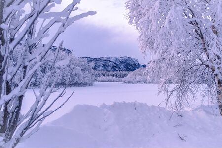 Noors Lapland Reis Ylva