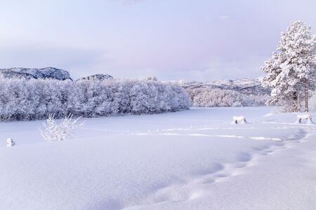 Noors Lapland Reis Ylva