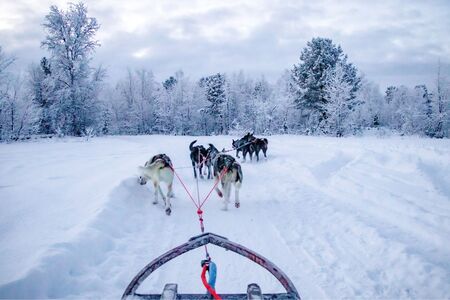 Noors Lapland Reis Ylva