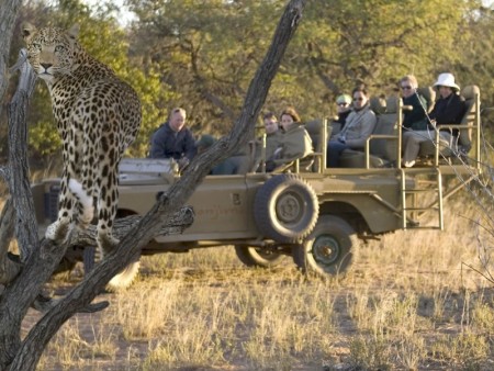 Okonjima 06