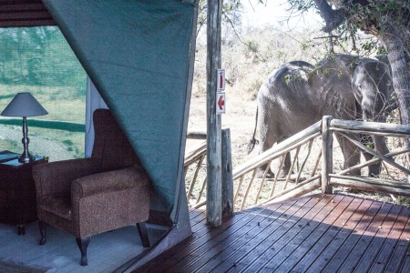 Olifant Tent Pom Pom Under One Botswana Sky Paul Changuoin
