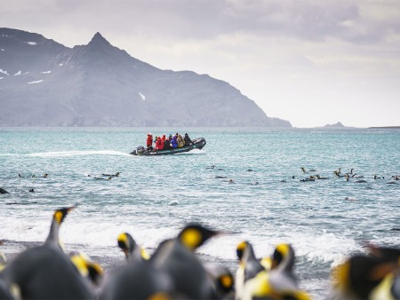 Pinguin Reis Oceanwide Expeditions Dietmar Denger 7