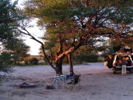 Piper Pan Camp 02
