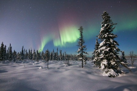 Poollicht Borealis Kiruna Guidetur 1