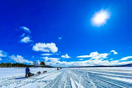 Poollicht Borealis Kiruna Guidetur 2