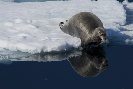 Poolreis Spitsbergen Oceanwide Expeditions 2