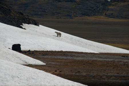 Poolreis Spitsbergen Oceanwide Expeditions 4