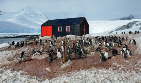 Port Lockroy Hurtigruten Marsel Van