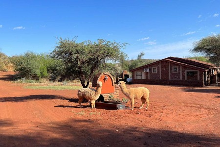 Red Sands Country Lodge 7