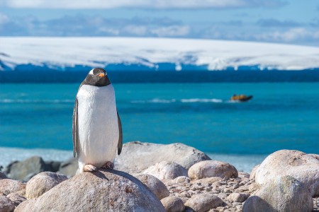 Reis Naar Antarctica ANT1920   By Dagny Ivarsdottir 18