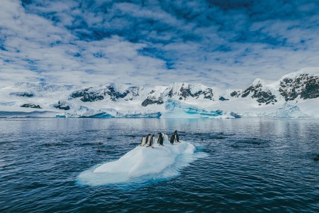 Reis Naar Antarctica GeneralLandscape DavidMerronIMG 9346
