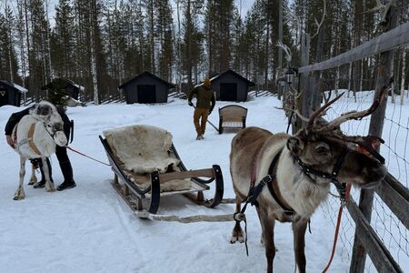 Rendiersafari Vuokatti FeelNordic 