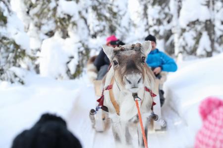 Ruka Erkki Activiteiten Reis Rukan Salonki Travels 3