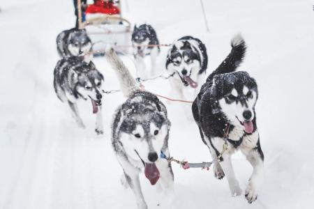 Ruka Erkki Activiteiten Reis Rukan Salonki Travels 7
