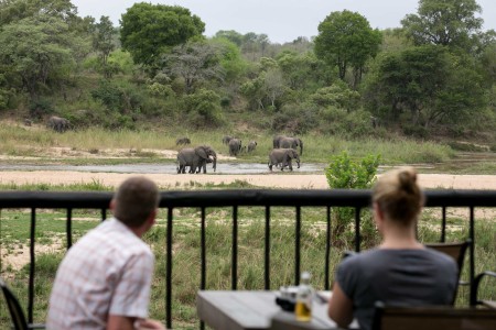 Sabi Sands   Umkumbe Safari Lodge 03