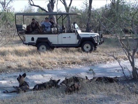 Sango Safari Camp 13