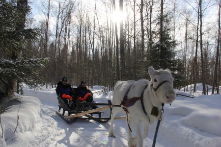 Sea Lapland Safaris Rendiersafari 4