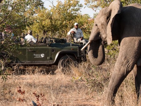 Simbavati River Lodge 08