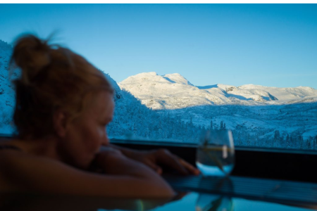 Skarsnuten Hotel Sauna