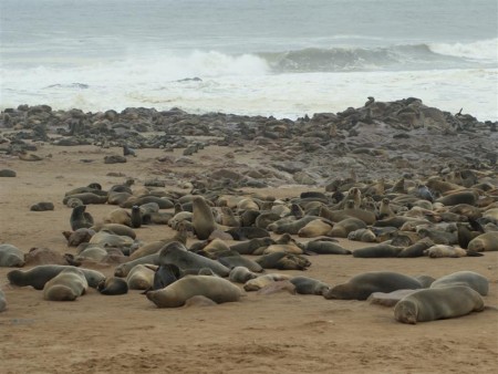 Skeleton Coast 02