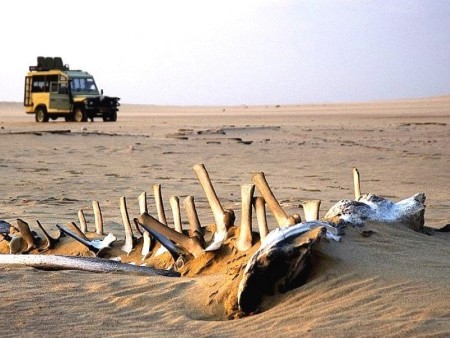 Skeleton Coast National Park 07