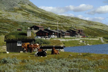 Smuksjoseter Fjellstue Rondane Mountain Lodge Omgeving