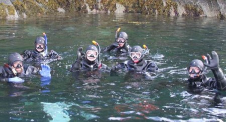 Snorkelen Saltstruamen Fredric Ihrsen