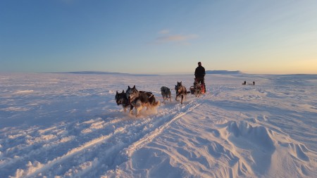 Sorrisniva Alta Noors Lapland Reis Asin 15